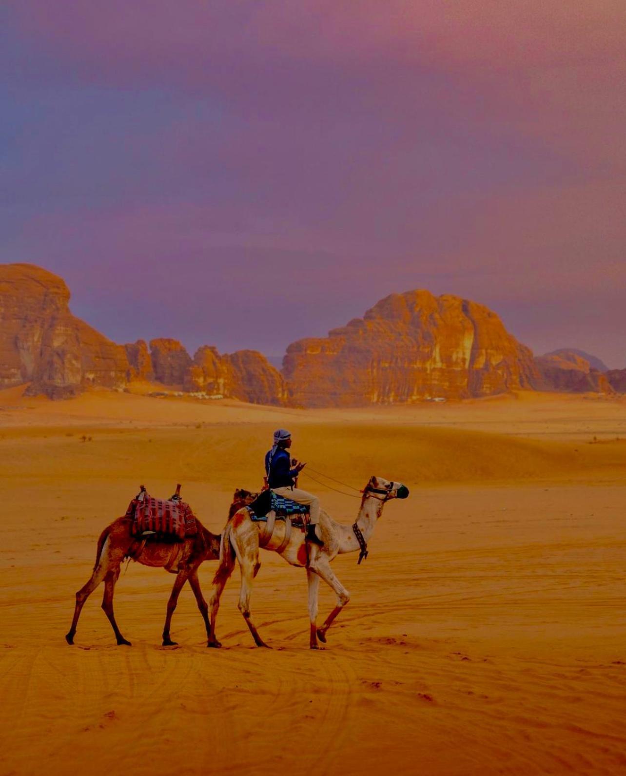 Hidden Wadi Rum Camp Luaran gambar