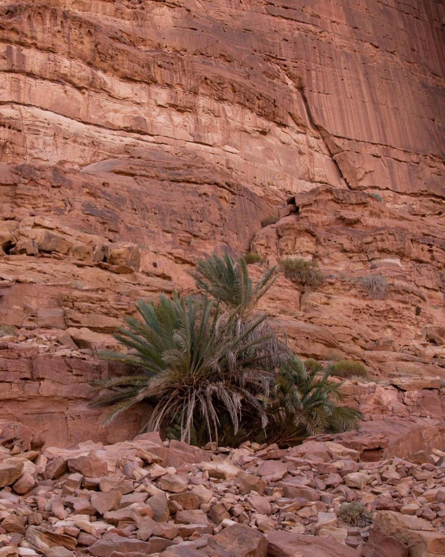 Hidden Wadi Rum Camp Luaran gambar